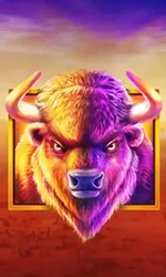 Buffalo King